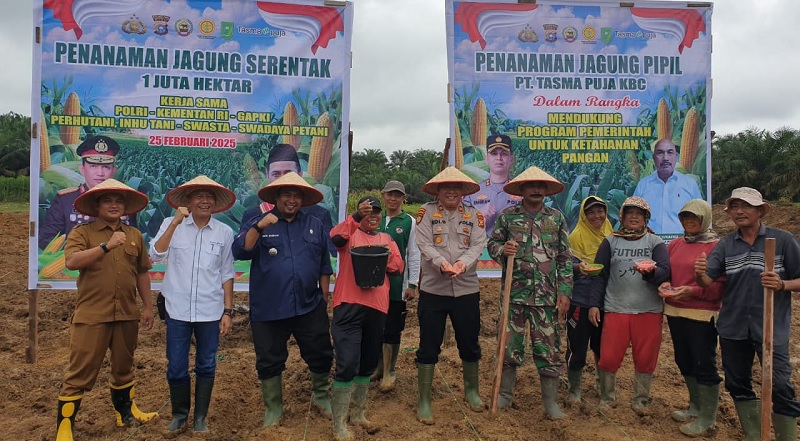 Camat Batang Cenaku, Dudi Sumbari, Kapolsek Batang Cenaku, Iptu Edi Dalianto, Manager Kebun PT Tasma Puja, Wawan Kuswandar dan Manager PKS PT Tasma Puja, Iskandar ST foto bersama usai penanaman jagung