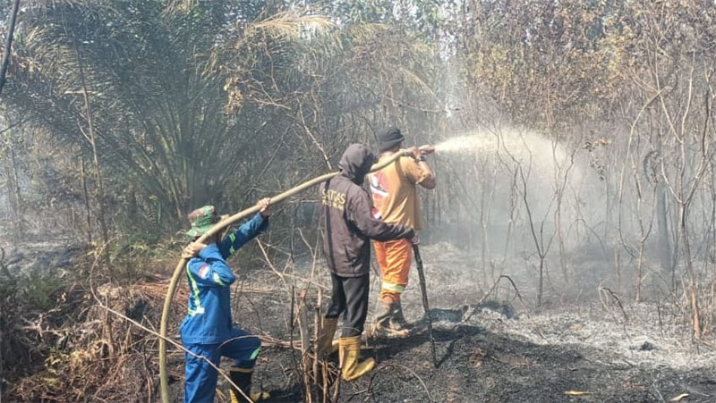 Kegiatan pemadaman dan pendinginan Karhutla di Kelurahan Tanjung Palas, Kecamatan Dumai Timur.