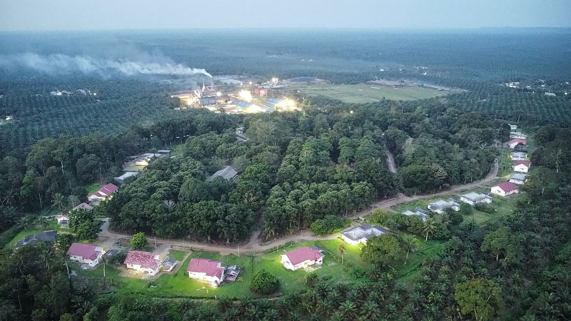 Kebun merupakan salah satu bagian penting dalam mendukung operasional PTPN IV Regional III untuk menetapkan dan menerapkan standar yang ketat dan pengelolaan yang ramah lingkungan.