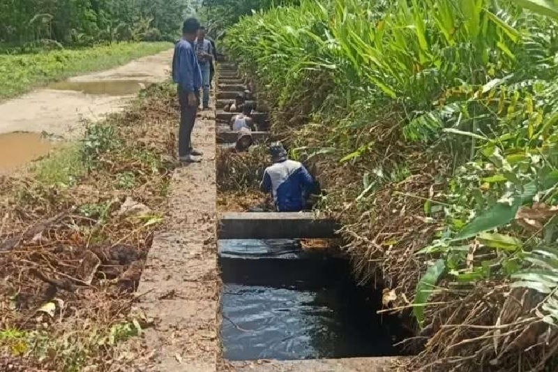 Tim pemburu air baku Perumda Air Minum Tirta Terubuk Bengkalis sedang membersihkan saluran air baku sepanjang 500 meter menuju waduk, Jumat (28/2/2025).