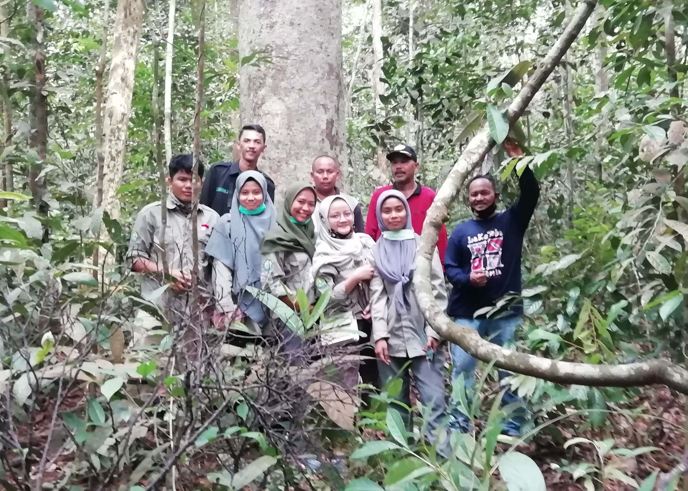 Pj Sekdes Koto Sentajo, Madiyusman di Hutan lindung Sentajo.