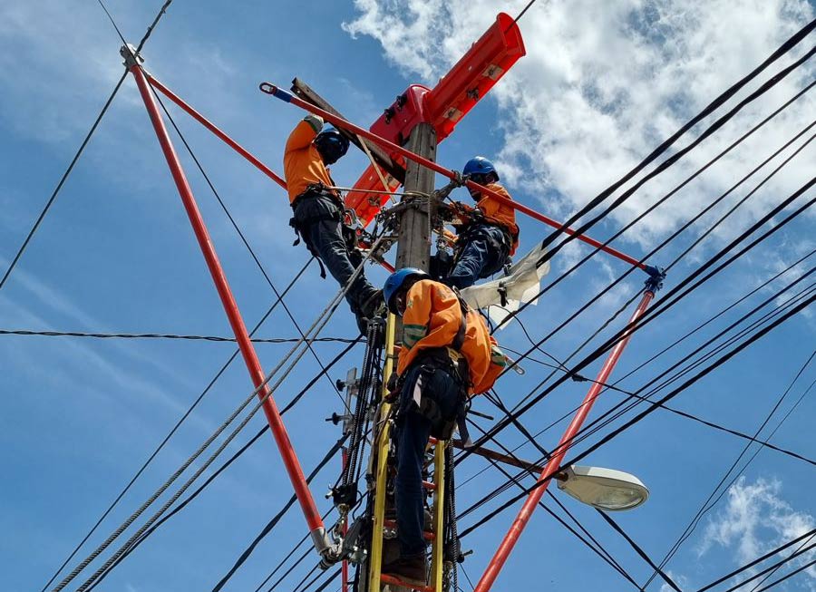 Petugas PLN melakukan perawatan jaringan