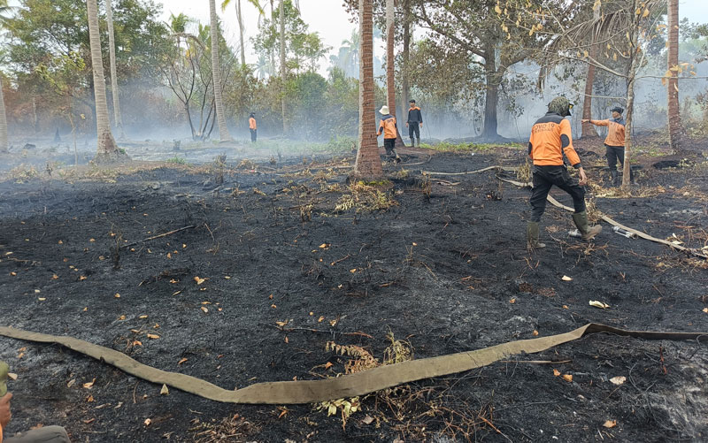 Sejumlah petugas  BPBD Bengkalis saat melakukan pendinginan terhadap lahan yang terbakar  di Jalan Sepakat RT 03/RW 06 Sungai Buyung, Desa Kembung Luar.