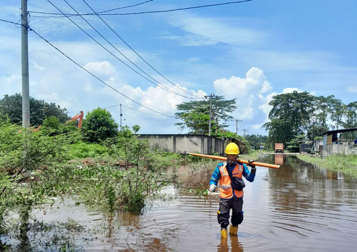Petugas PLN memastikan keamanan ketenagalistrikan dilokasi terdampak banjir.