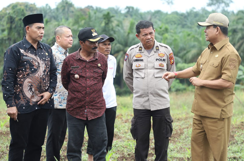 Wabup Rohul H Syafaruddin Poti SH MM memberikan penjelasan ke camat, forkopimcam saat meninjau lahan ketahanan pangan di Desa Sungai Kumango.