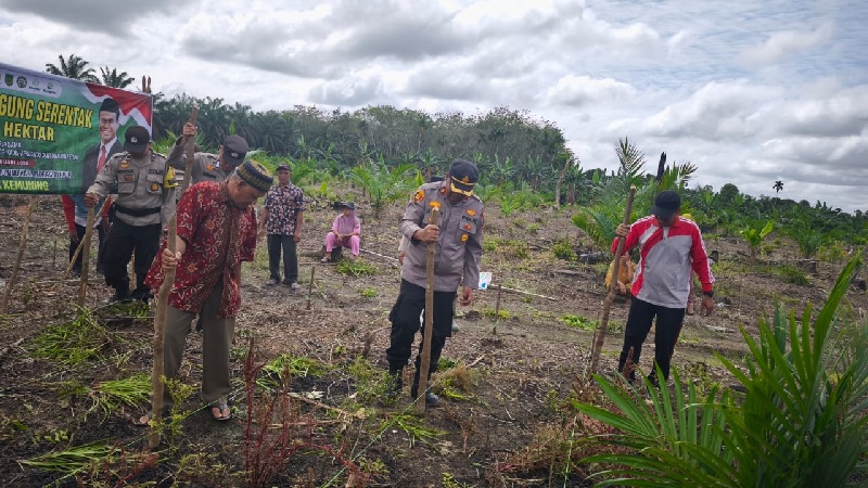 Kapolsek Kemuning Kompol AR Tarigan MH ketika mendampingi masyarakat menanam jagung di Desa Sekara, Kemuning, Inhil, Riau, Senin (10/3/2025).