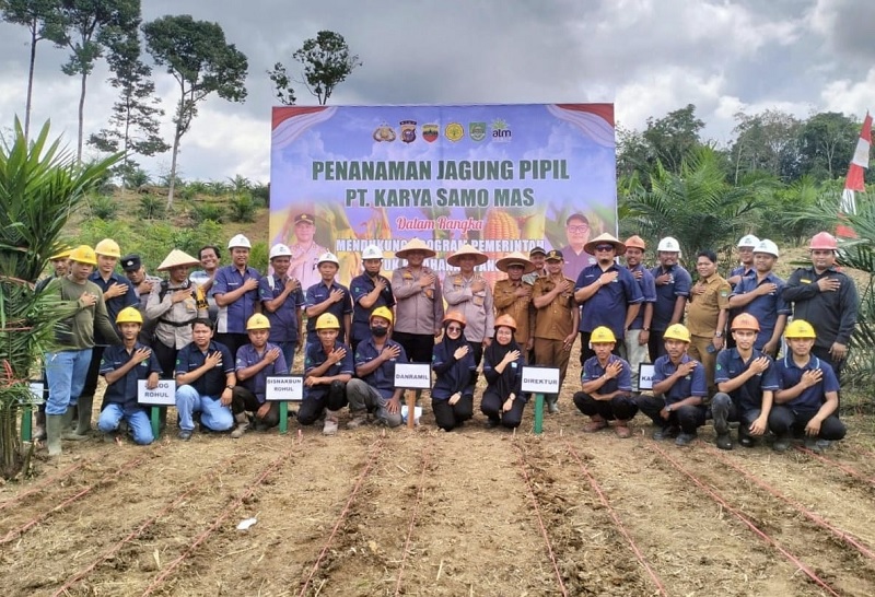 Kapolres Rohul AKBP Budi Setiyono SIK MH bersama Direktur PT KSM dan karyawan foto bersama usai tanam jangung pipil diatas lahan 2 hektar di Desa Teluk Aur, Kecamatan Rambah Samo.