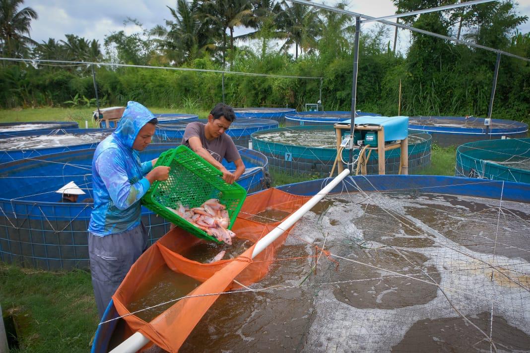 BRI Raih Penghargaan Internasional Best SME Bank in Indonesia berkat komitmen BRI dalam menyediakan solusi keuangan yang berkelanjutan bagi UMKM.