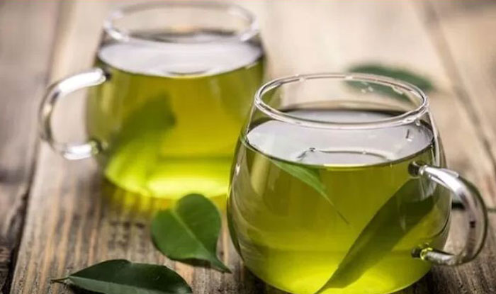 Teh hijau merupakan satu di antara minuman yang dapat tingkatkan daya tahan tubuh selama mudik lebaran.