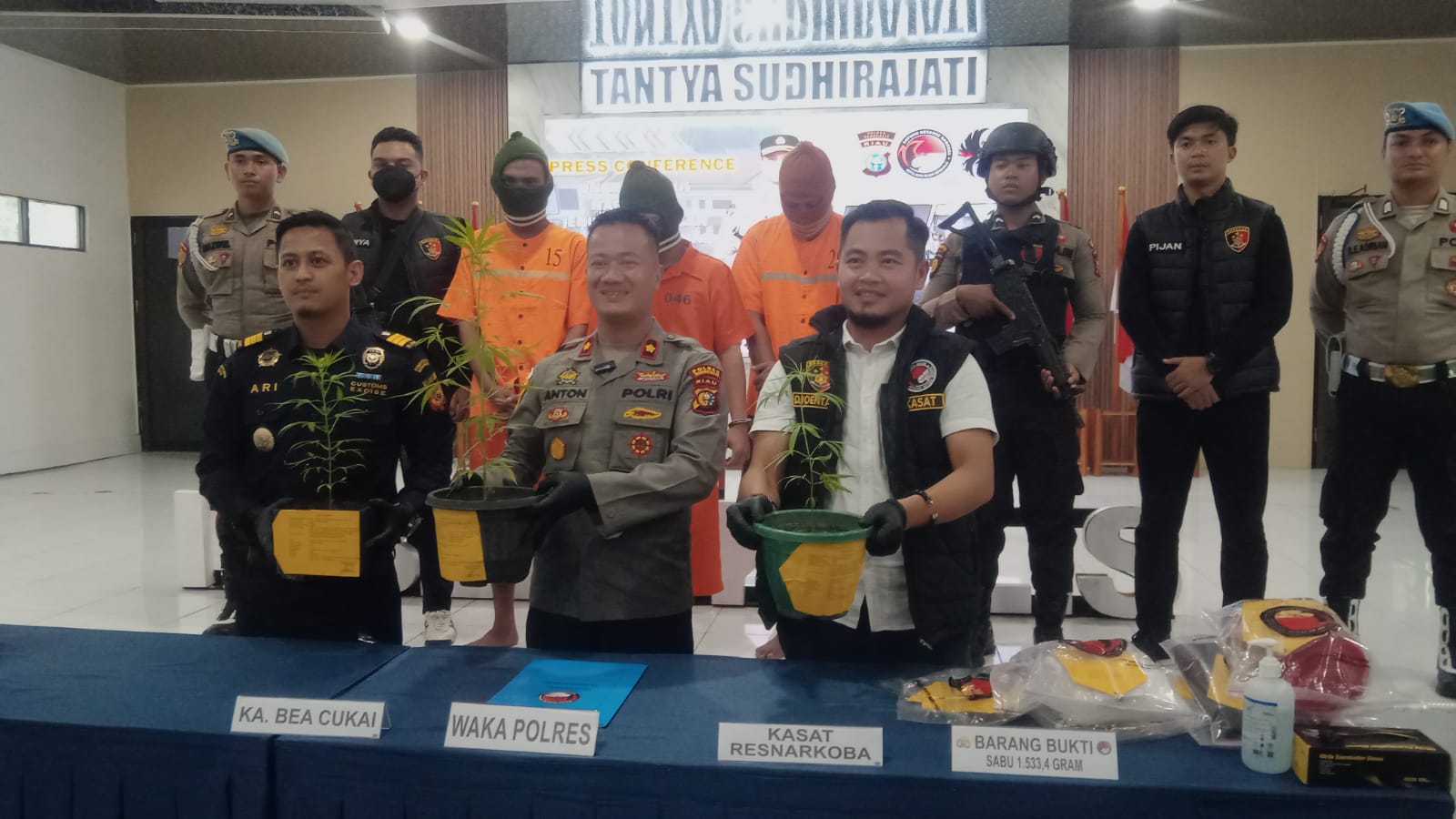 Wakapolres Bengkalis Kompol Anton Rama Putra didampingi Kasatres Narkoba Iptu Doni Binsar menunjukkan pohon ganja yang dibudiyakan di pot bunga di sebuah rumah di Jalan Pelajar Dusun II Pangkalan Nyir