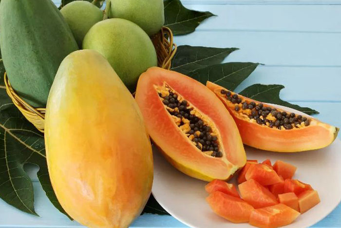 Ilustrasi. Buah pepaya mengandung vitamin A, C, dan E, pepaya merupakan makanan super yang memperkuat kekebalan tubuh.