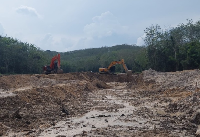 Aktivitas alat berat saat bekerja dalam kawasan kebun karet milik Pemkab Kuansing yang sudah diusir Disbunak Kamis (10/4/2025) lalu.