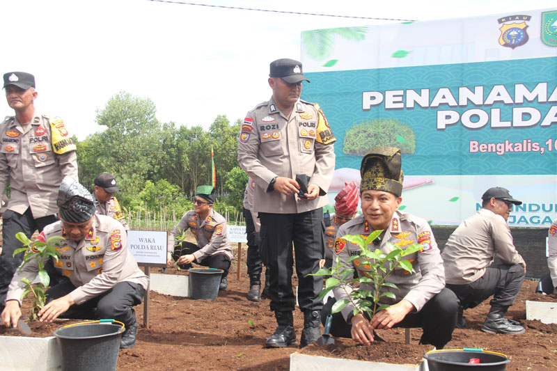 Kapolda Riau Irjen Pol Herry Heryawan menanam pohon geronggang di Kampung Tangguh Polres Bengkalis, Jalan Poros Sungai Alam, Rabu (16/4/2025).