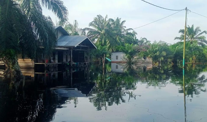 Kondisi Desa Bandar Jaya Kecamatan Siak Kecil yang terendam banjir air hujan yang terjadi dalam sepekan ini.