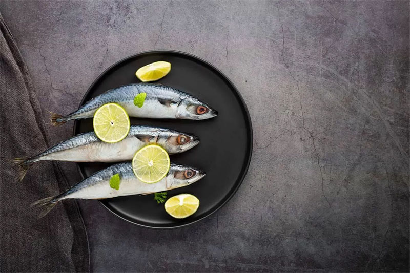 ilustrasi ikan.
