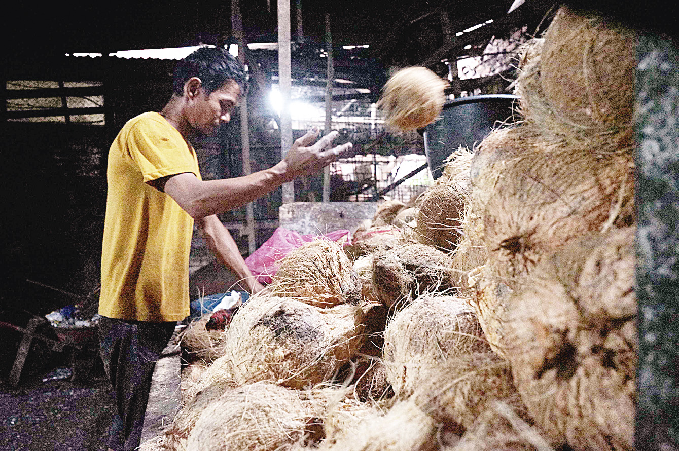 Seorang pedagang melempar kelapa yang sudah dikupas di Pasar Cik Puan Pekanbaru, Sabtu (19/4/2025).