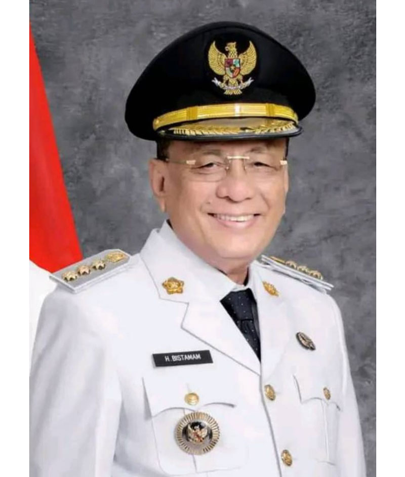 Bupati Rokan Hilir Bistamam
