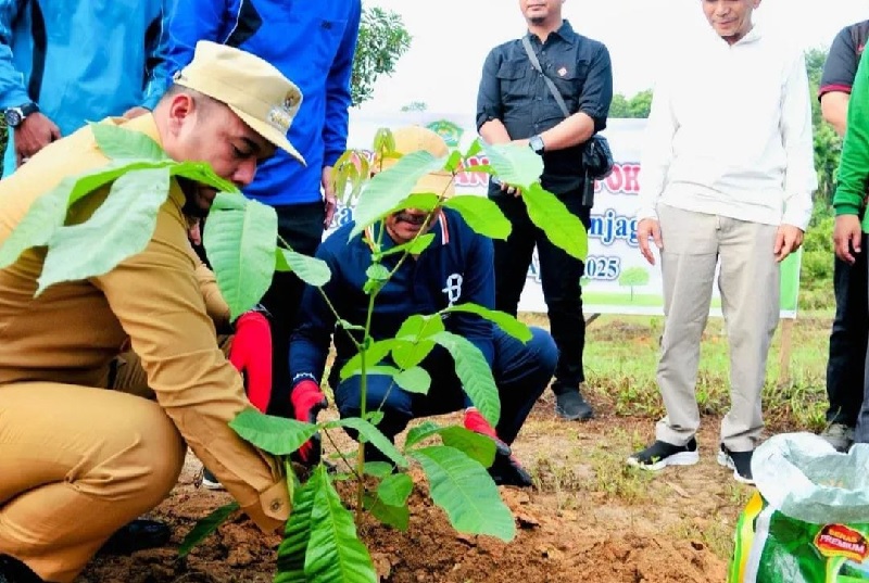 Bupati lnhu Ade Agus Hartanto SSos MSI didampingi Kepala Kemenag Inhu, DR H Darwison MA saat melakukan penanaman pohon, Selasa (22/4/2025).