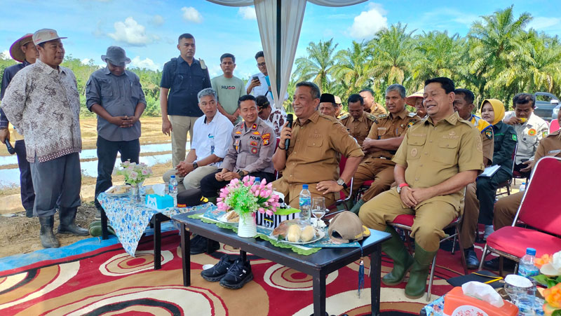 Bupati Rohul Anton ST MM bersama Wabup Rohul H Syafaruddin Poti SH MM melakukan temu ramah dan tanya jawab dengan petani dan PPL di Desa Pasir Maju, Kecamatan  Rambah.