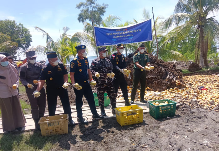 Satu unit kapal berisi 1.400 keranjang berisi buah mangga ilegal asal Thailand senilai Rp 521 juta lebih diamankan Bea Cukai.