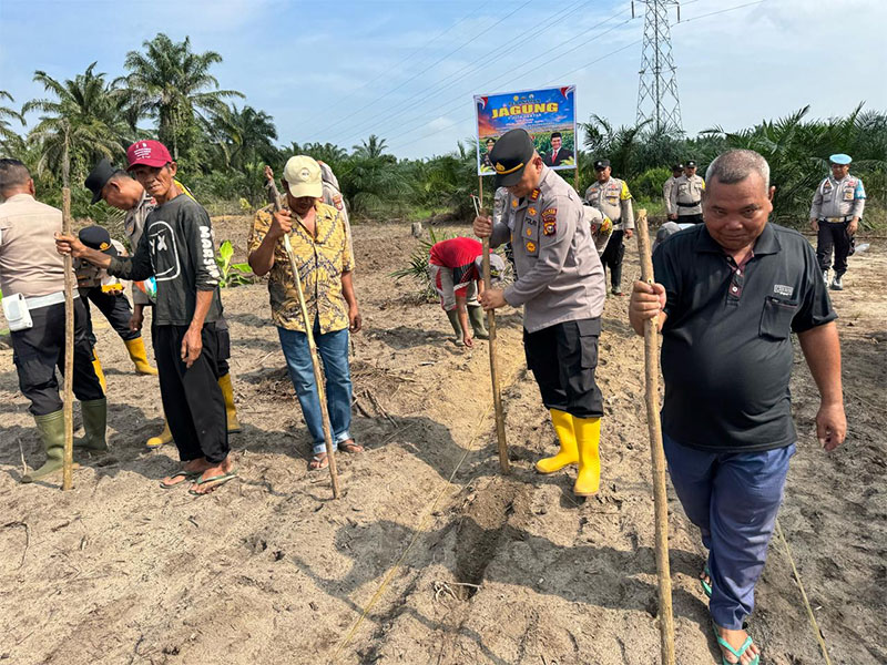 Kapolsek Pujud AKP Boy Setiawan bersama personel dan kelompok tani Maju Bersama melakukan penanaman jagung di Kepenghuluan Teluk Nayang, Pujud, Sabtu (26/4/2025).