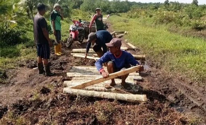 Warga Dusun Penawo Makmur Desa Berancah, menyusun batang pinang di Jalan Laksamana yang belum tersentuh semenisasi dari pemerintah, Jumat (25/4/2025).