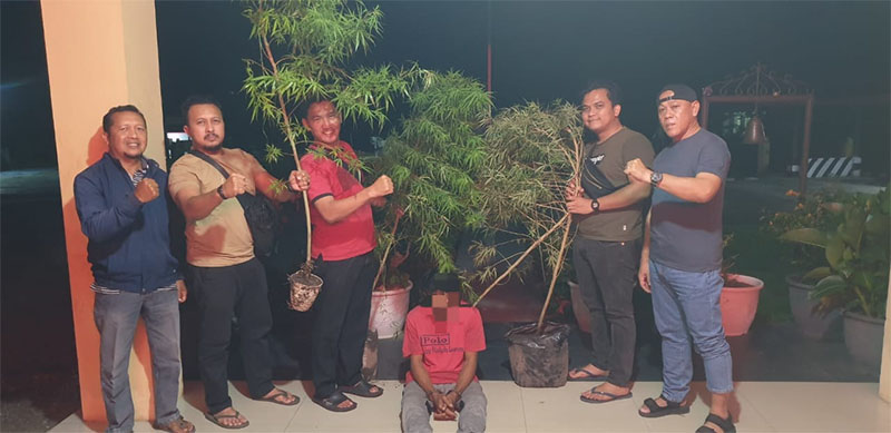 Tim Opsnal Reskrim Polsek Siak Hulu meringkus tersangka NH (41) yang diduga menanam ganja di belakang rumahnya, Senin malam (28/4/2025).