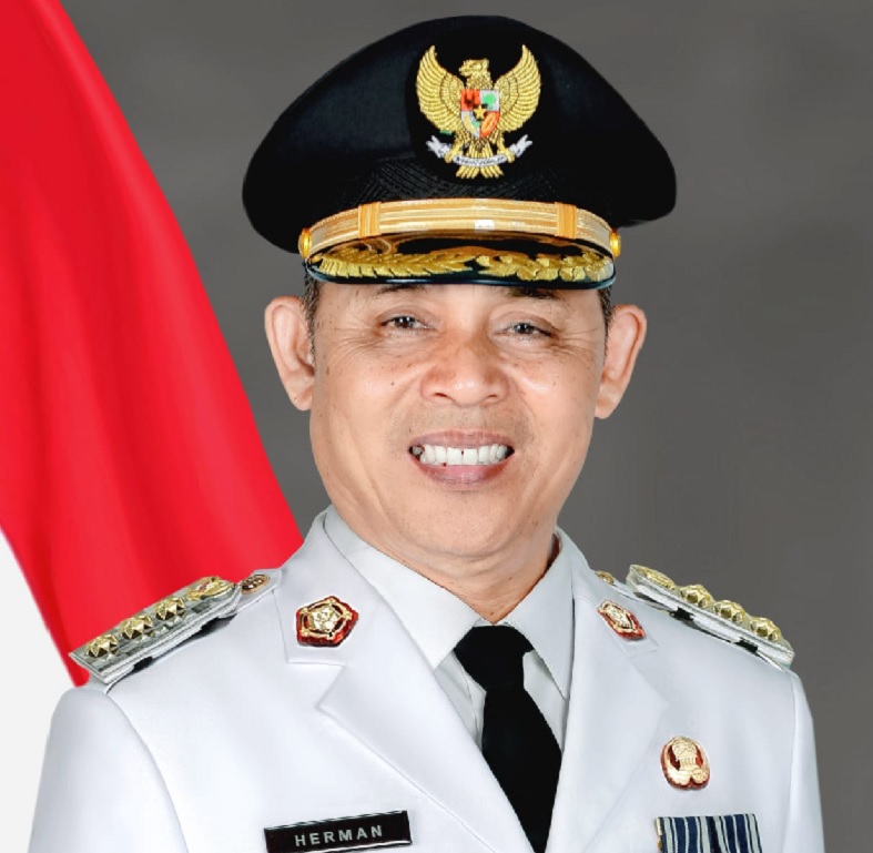 Bupati Indragiri Hilir, Herman.