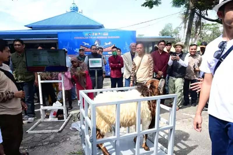 Timbangan IoT yang didemonstrasikan saat lomba kontes domba dan kambing di Lanud Roesmin Nurjadin, baru-baru ini.