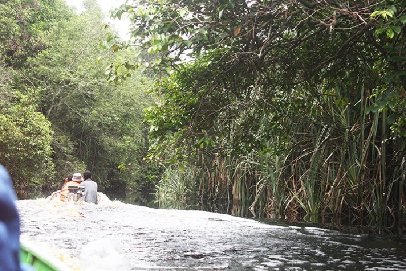 Perjalanan menyusuri sungai menuju ke Tasik Serkap, Kecamatan Kuala Kampar, Kabupaten Pelalawan.  Tasik Serkap salah satu areal hutan yang dikelola Restorasi Ekosistem Riau.