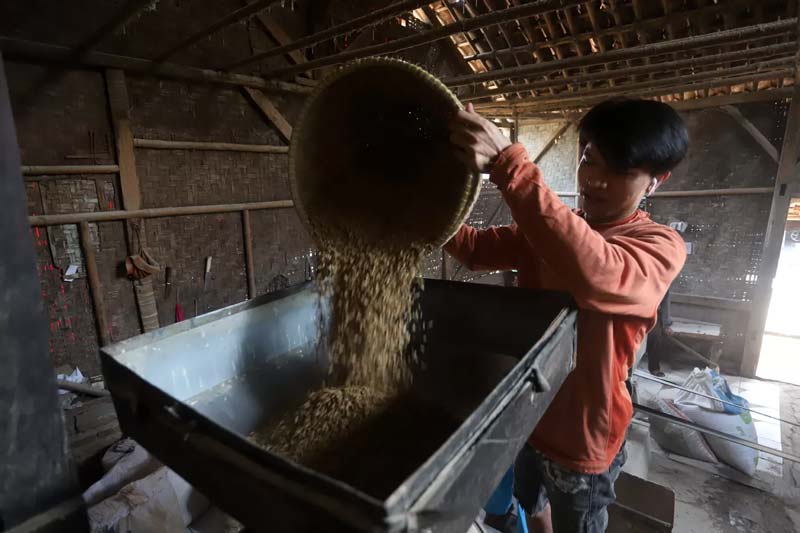 Pekerja menggiling gabah padi di Parung Panjang, Kabupaten Bogor, Jawa Barat, beberapa hari lalu.