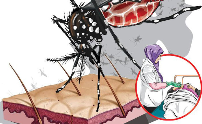 Ilustrasi. Pemkab Inhil menetapkan status Kejadian Luar Biasa (KLB) untuk DBD seiring dengan peningkatan kasus sejak awal tahun 2025.