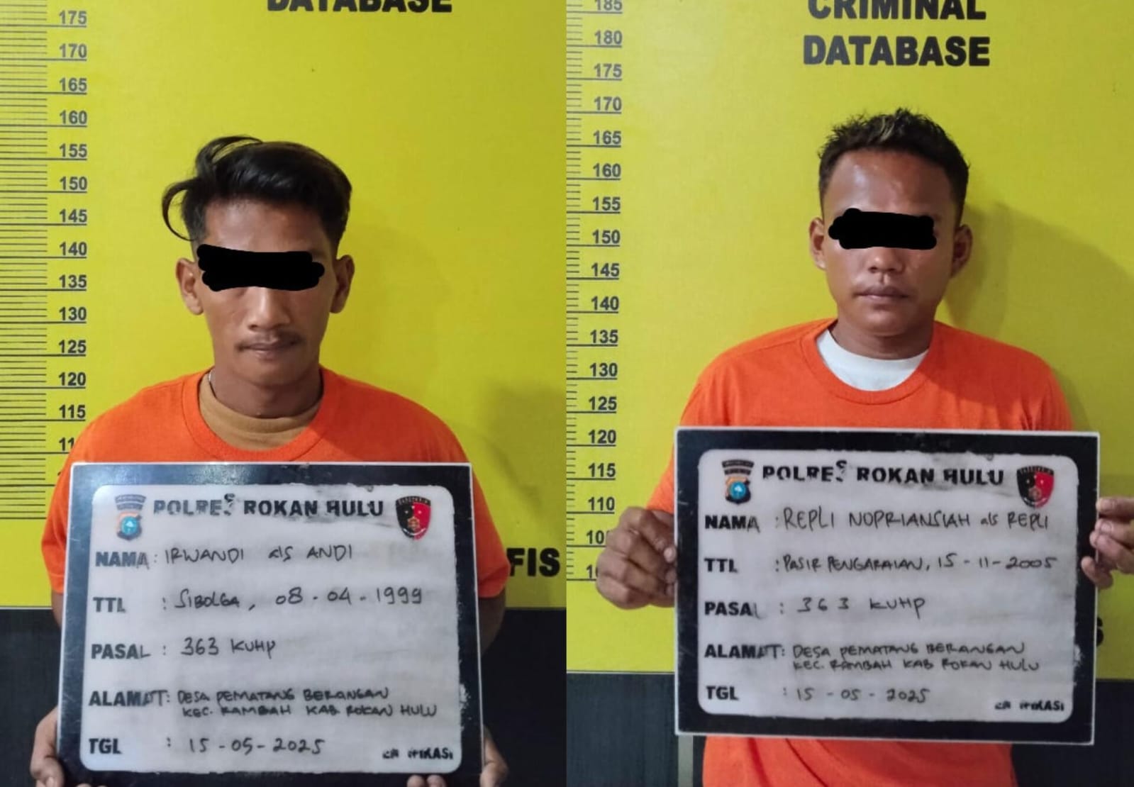 Dua tersangka inisial R (20) dan I (26) warga Desa Pematang Berangan Kecamatan Rambah ditangkap polisi dalam kasus pencurian besi terali Perumahan Pemda Rohul, Kamis (15/5/2025).
