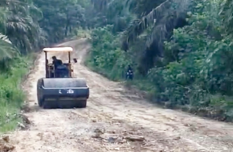 Alat berat milik Dinas PUPR Rohul sedang melakukan pemeliharaan ruas jalan alternatif Simpang Ngaso menuju PT EDI-Kota Intan-PT SAI, baru baru ini.