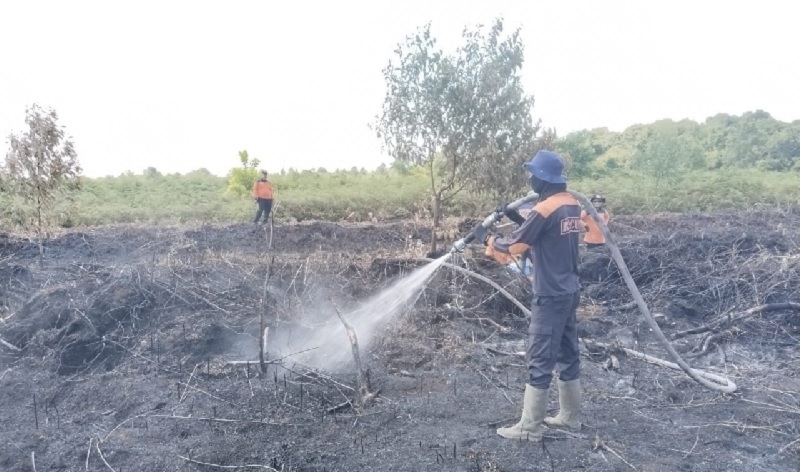 Petugas BPBD Bengkalis memadamkan api yang melahan lahan milik masyarakat di jalan poros Desa Sungai Alam, Kecamatan Bengkalis, Ahad (25/5/2025) siang.