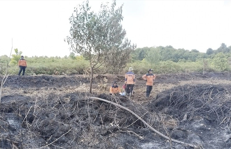 Petugas BPBD Bengkalis memadamkan api yang membakar lahan milik masyarakat di jalan poros Desa Sungai Alam, Kecamatan Bengkalis, Ahad (25/5/2025) siang.