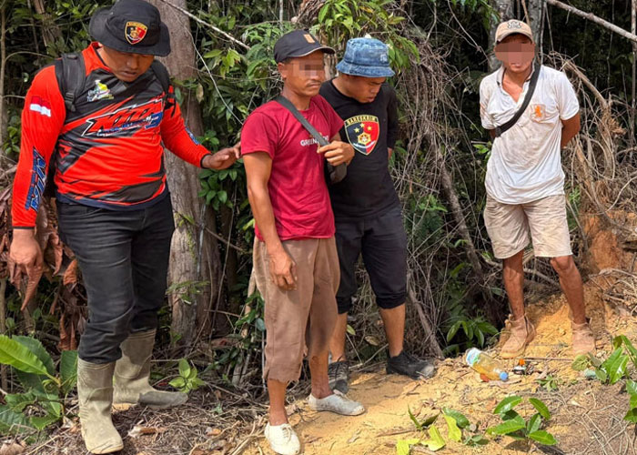 Penyidik Satreskrim Polres Rohul mengamankan dua pekerja H dan S yang sengaja membakar kawasan hutan di lereng bukit Desa Tanjung Medan, Kecamatan Rokan IV Koto, Rohul, Rabu (28/5/2025) petang.