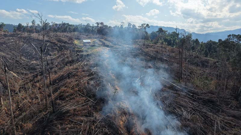 Asap masih terlihat membubung di atas lereng bukit kawasan HPT di Desa Tanjung Medan, Kecamatan Rokan IV Koto, Kabupaten Rokan Hulu yang dibakar, Rabu (28/5/2025