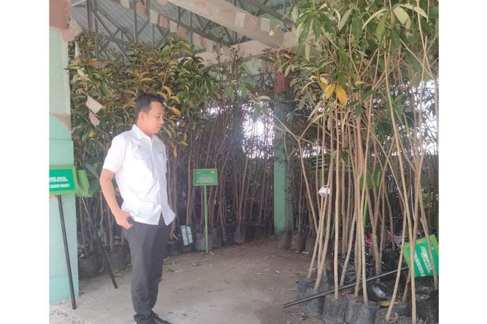 Kadis DLH Kabupaten Kampar Yuricho Efril meninjau bibit pohon di kantor DLH Kampar, Bangkinang, Senin (2/6/2025).