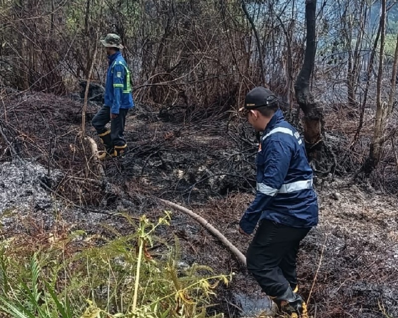 Satgas Karhutla Dumai melakukan pemadaman di Kelurahan Mekar Sari, Kecamatan Dumai Selatan, Selasa (3/6/2025).