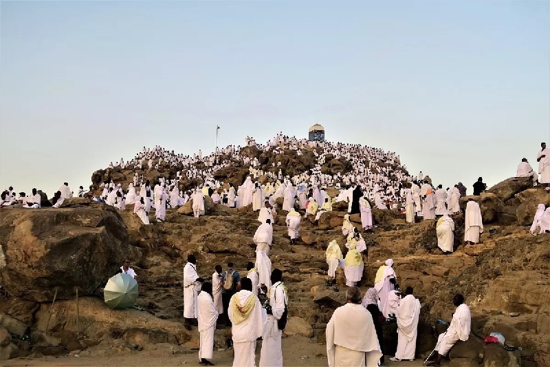 Ilustrasi: Jemaah haji wukuf di Arafah.