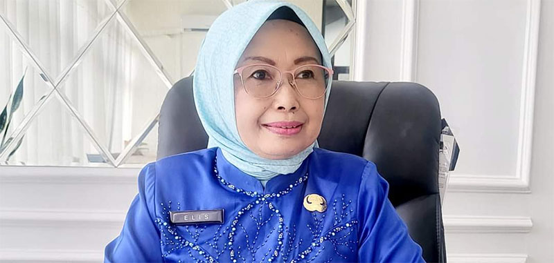 Kepala Dinas Kesehatan Kabupaten Inhu, Elis Juliarti DCN Mles.