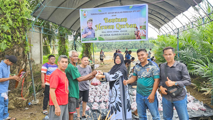 Perwakilan manajemen PT SBP (kanan) menyerahkan daging kurban secara simbolis kepada warga Desa Sungai Raya Kecamatan Rengat , Ahad (8/5/2025).