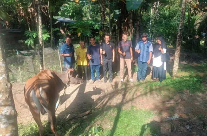 Humas PT PAS, Syahrial (kiri) saat menyerahkan bantuan hewan kurban untuk Desa Pematang Jaya, Kamis (7/6/2025).