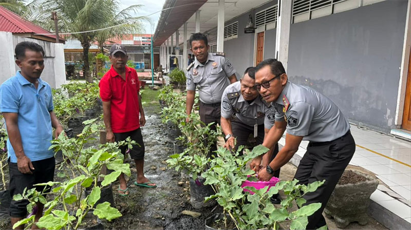 Kalapas Selatpanjang Sugiyanto (paling kanan) memeriksa sayur program ketahanan pangan Seksi Giatja Lapas Selatpanjang, Selasa (10/6/2025).