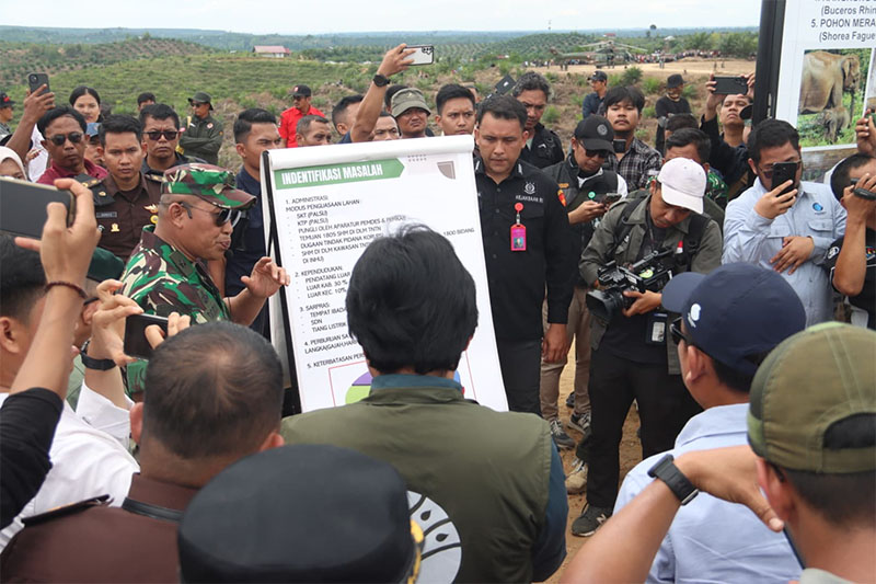 Proses penertiban lahan di TNTN pada sisi Kabupaten Pelalawan, Riau, Selasa (10/6/2025).