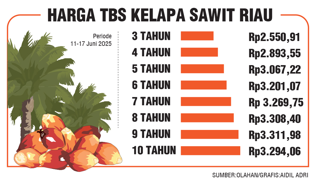Grafis harga TBS kelapa sawit.