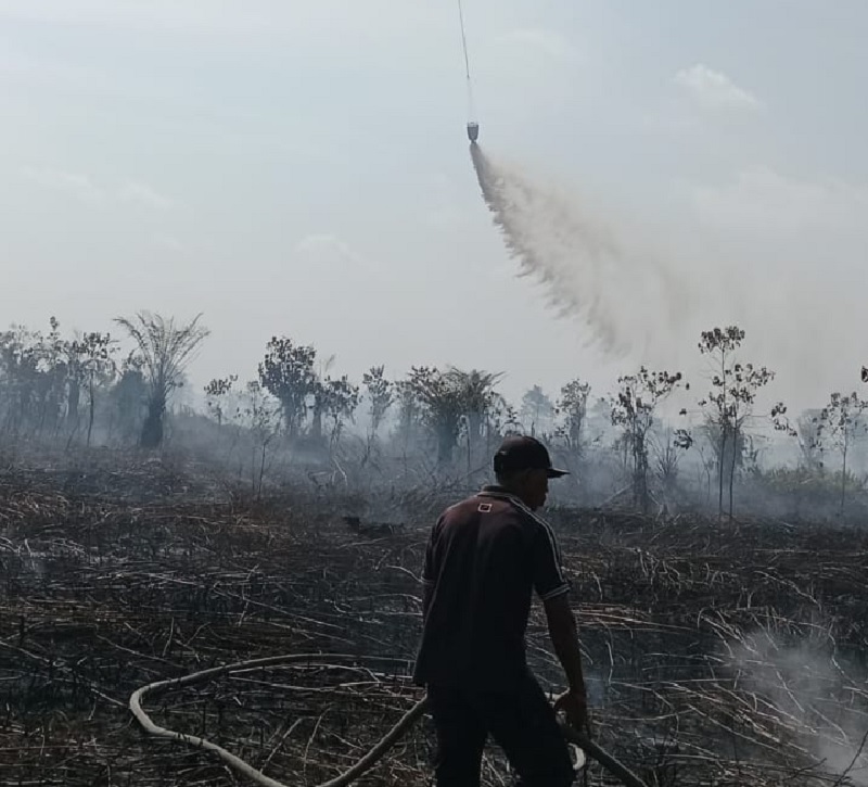 Tangani Karhutla di Kelurahan Tanjung Penyebal, Kecamatan Sungai Sembilan turut melibatkan helikopter water bombing, Jumat (13/6/2025) .