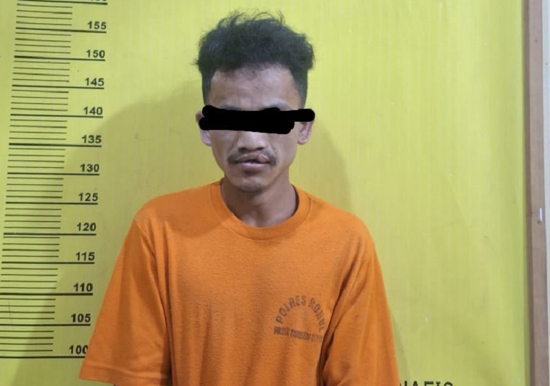 Tersangka A alias US, pencuri brondolan sawit yang  membacok IRT di Tambusai Utara ditangkap Polsek Tambusai Utara, Sabtu (14/6/2025).