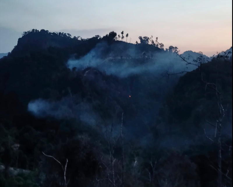 Asap tebal dan titik api masih terlihat aktif membakar Kawasan Hutan Bukit Batu Ropit di Desa Sialang Jaya, Kecamatan Rambah, Rohul, Ahad (15/6/2025) petang.